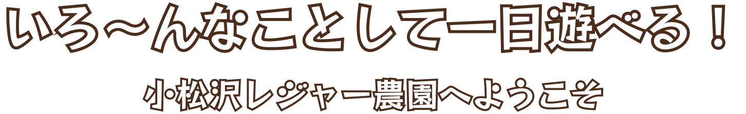 いろ〜んなことして一日遊べる！小松沢レジャー農園へようこそ